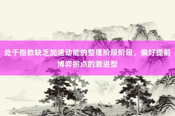 处于指数缺乏加速动能的整理阶段阶段，偏好提前博弈拐点的激进型