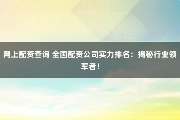 网上配资查询 全国配资公司实力排名：揭秘行业领军者！